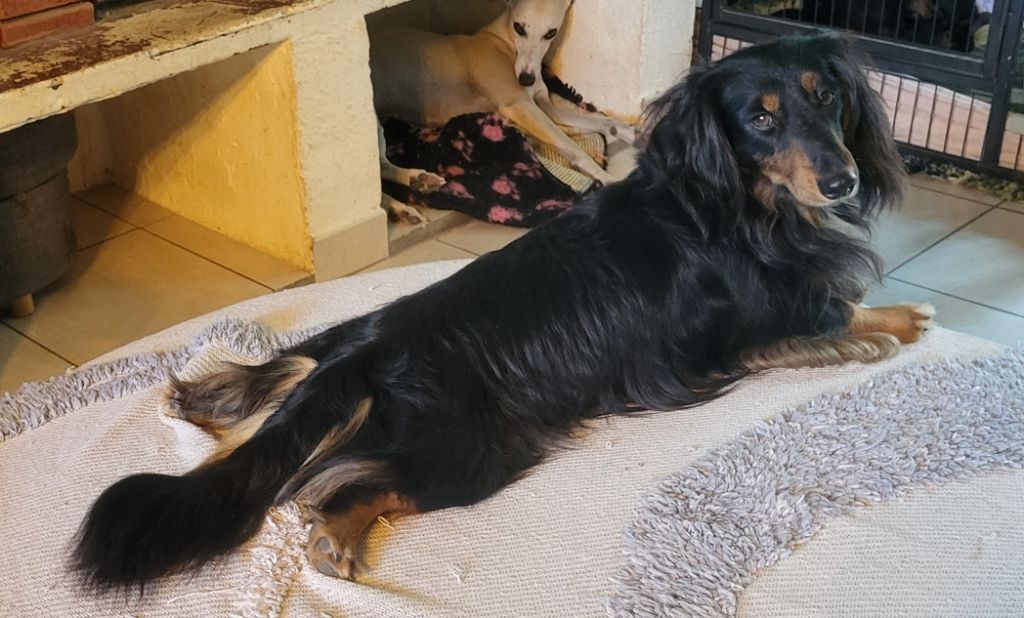 Un christian grey des amours du Charmaix