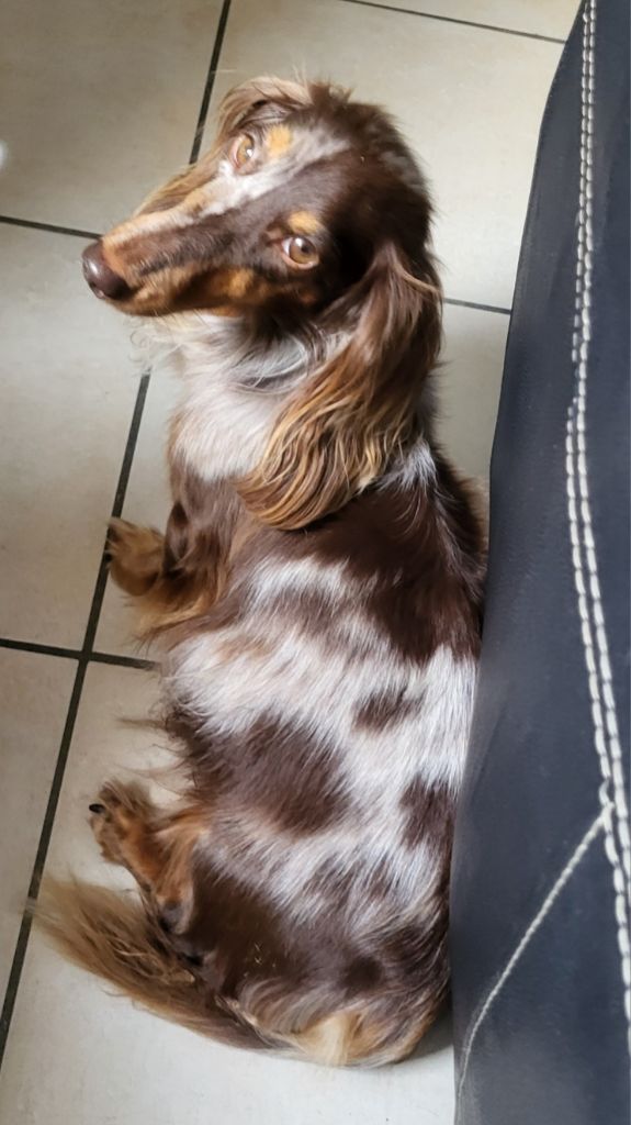 Sochic choc des amours du Charmaix